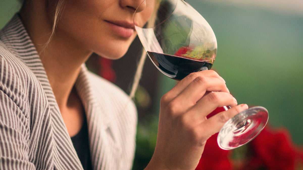 Cómo catar un vino con éxito